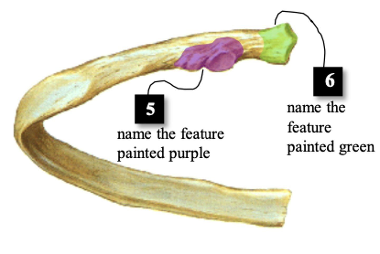 <p>#6</p>