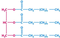 <p>ID this structure</p>