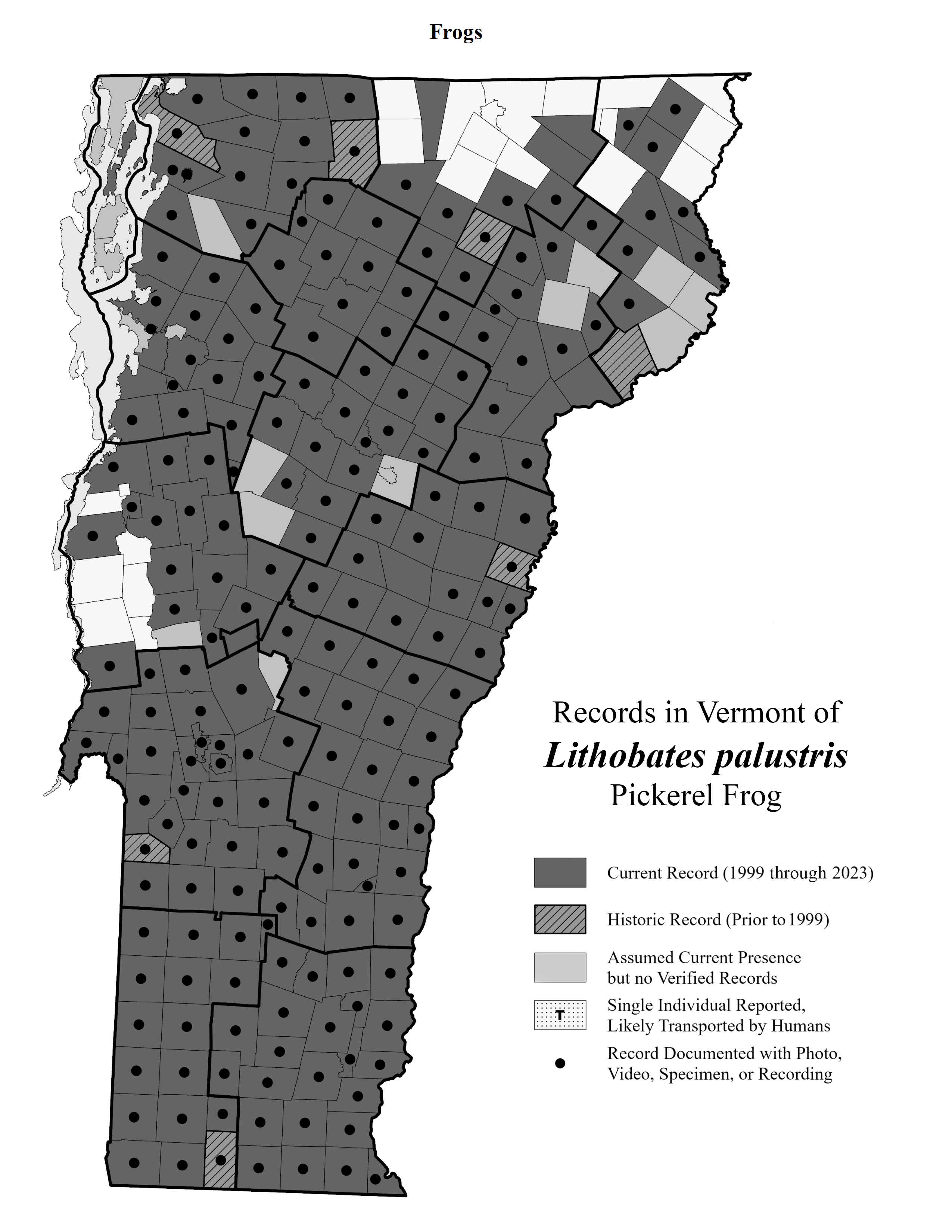 <p>upland areas with dense vegetation, cooler temporary or permanent water, overwinter in caves, found throughout VT (S5)</p>