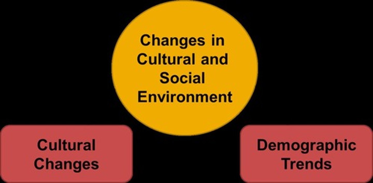 <p>The set of values, beliefs, and practices that shape the behavior of individuals within a society.</p>
