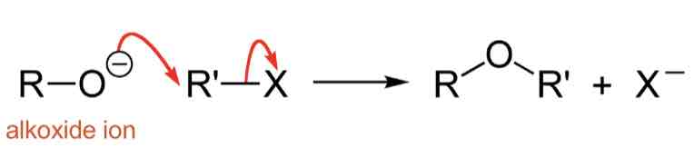 <ul><li><p>Formed by the removal of a proton from an alcohol using a strong base</p></li><li><p>OR reaction of the alcohol with sodium/potassium</p></li><li><p></p></li><li><p>The R-O- is the ALKOXIDE ION</p></li></ul>