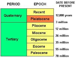 An epoch of the Quaternary period beginning about 1.8 million years ago and ending about 10,000 years ago. Best known as a time of extensive continental glaciation.