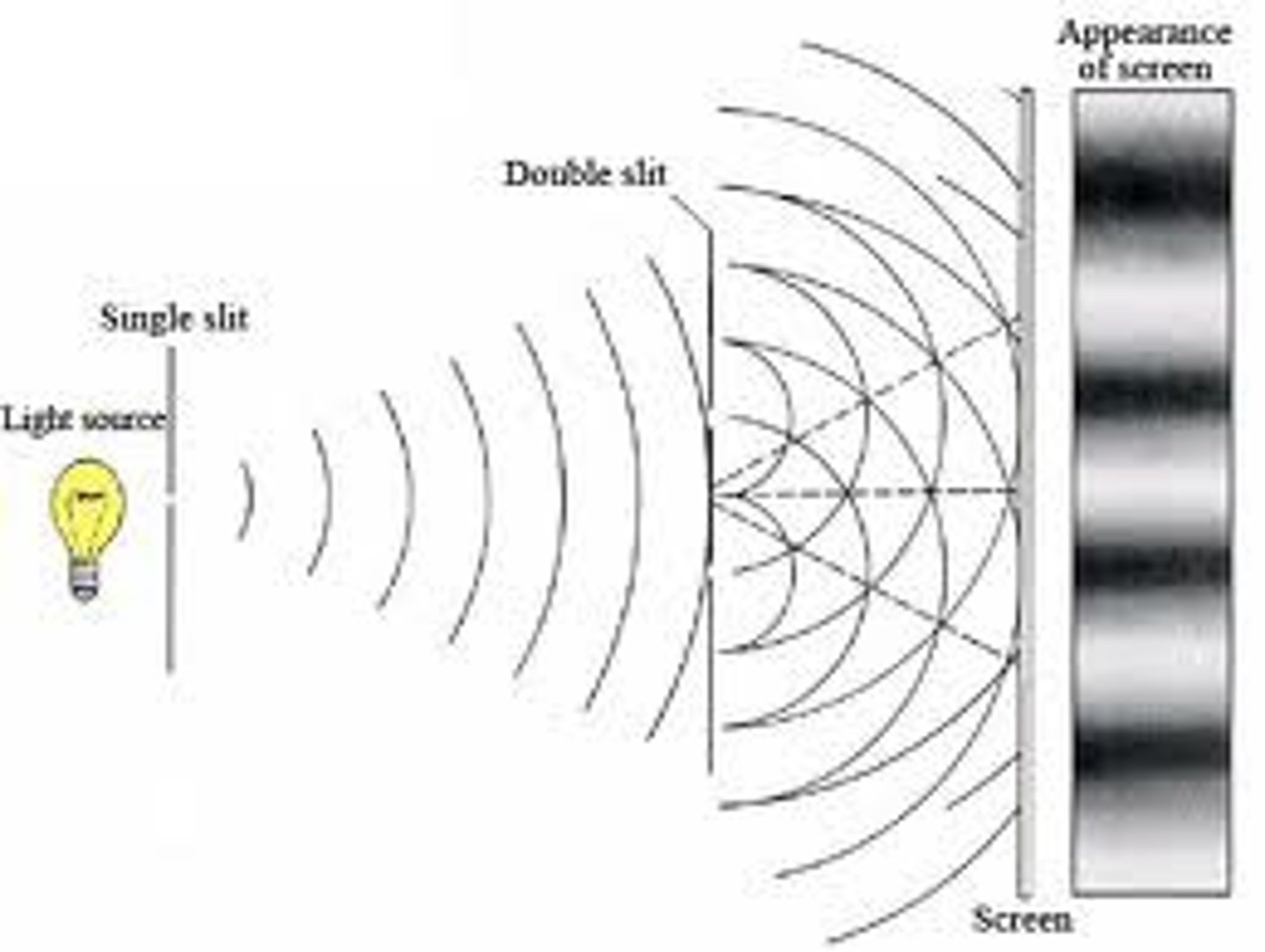 <p>shows the constructive and destructive interference of waves that occur as light passes through parallel slits, resulting in dark spots from out-of-phase waves destructively interfering (nodes) and light spots from in-phase waves constructively interfering</p>