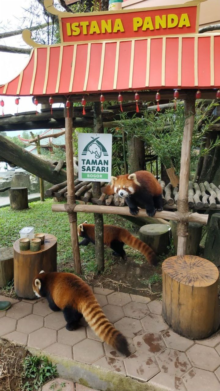 <p><em>Taman Haiwan.</em></p>