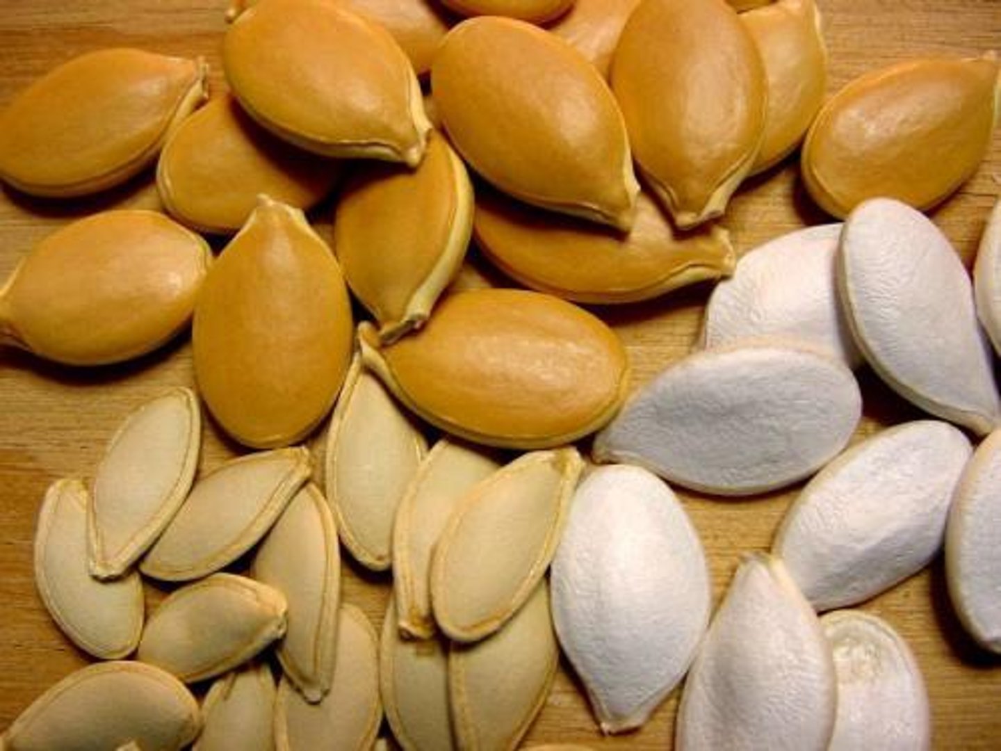 <p>seed</p>