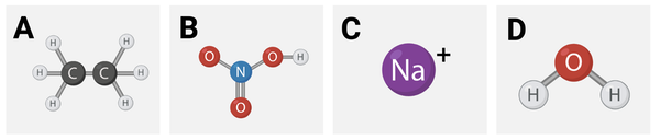 <p>Which series lists the molecules in order of hydrophilicity, from most hydrophilic to least hydrophilic?&nbsp;</p><ul><li><p><span>a. C &gt; B &gt; D &gt; A</span></p><p></p></li><li><p><span>b. A &gt; D &gt; C &gt; B</span></p><p></p></li><li><p><span>c. A &gt; D &gt; B &gt; C</span></p></li></ul><p></p>