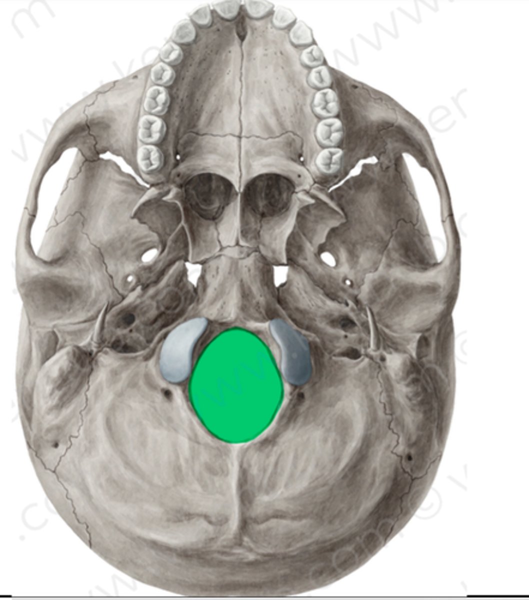 knowt flashcard image