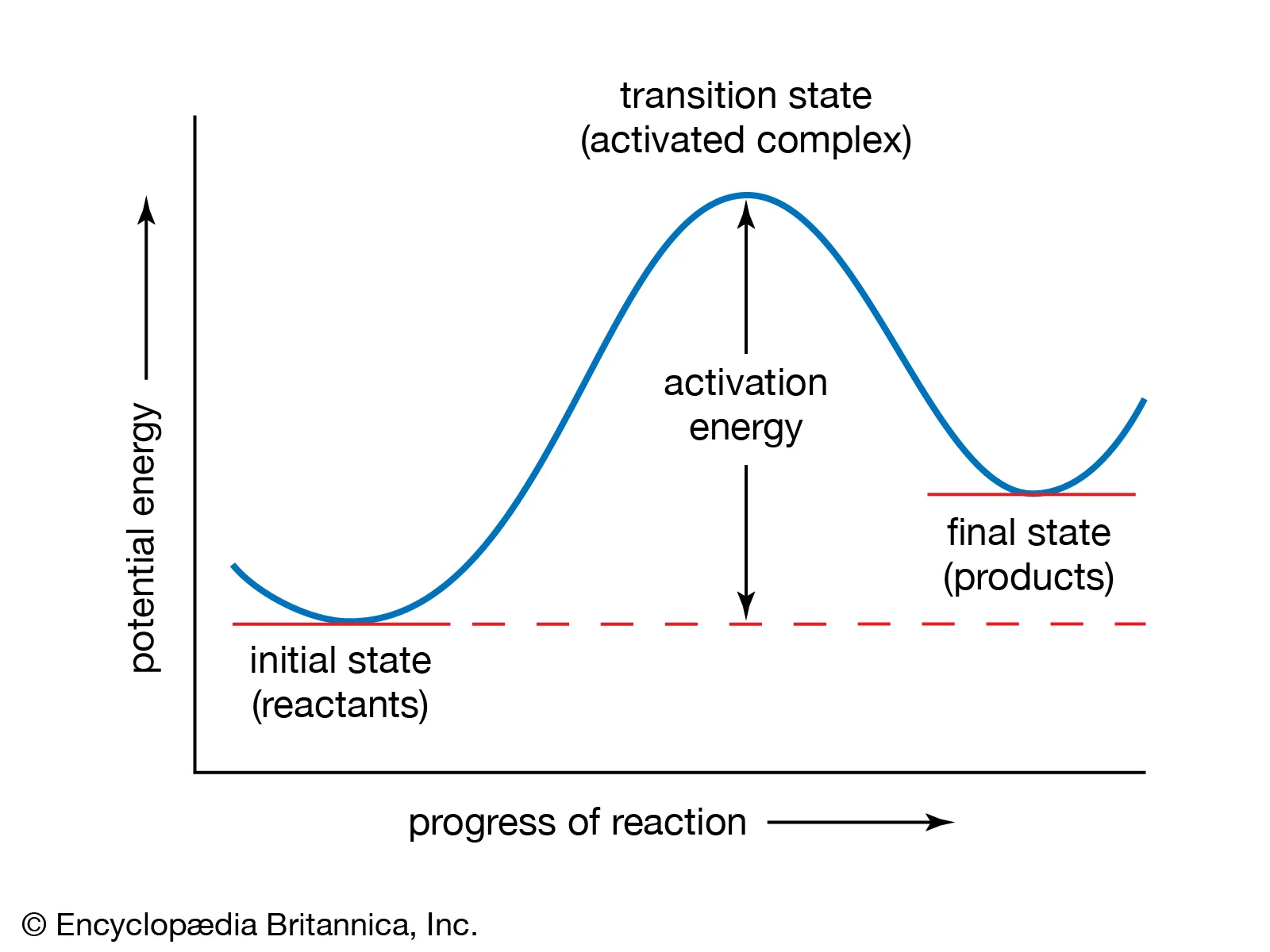 <p>transition state</p>