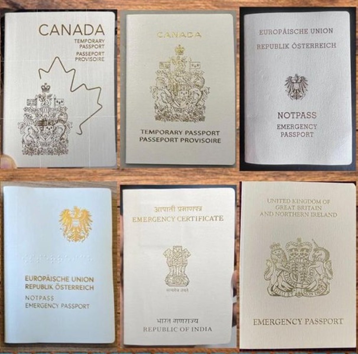 <p>Issued to an individual who cannot obtain a passport from their country of origin. Also known as 'refugee passport'.</p>