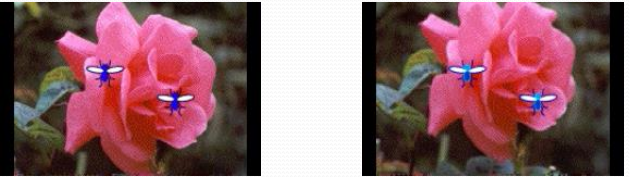 <p>a nearby object effects the perceived motion of a second object, or causes a second object to appear to move, eg. moving background causes a stationary object to appear to move</p>