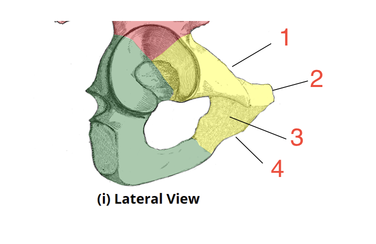 <p>1? </p>