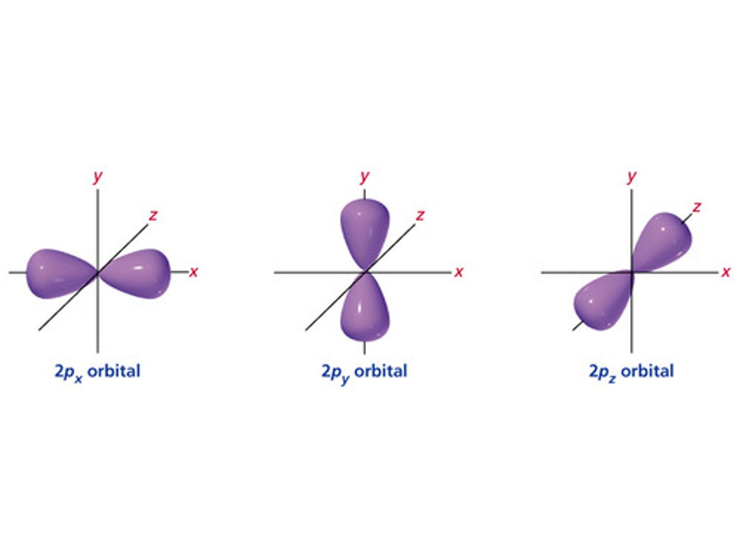 <p>Measure at right angels within the shell</p>