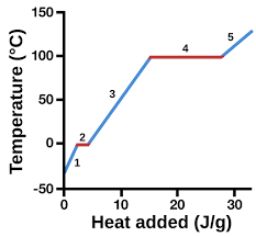 <p>gas</p>