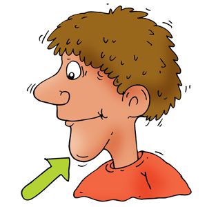 <p>Chin</p>