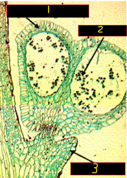 <p>What is 2? </p>