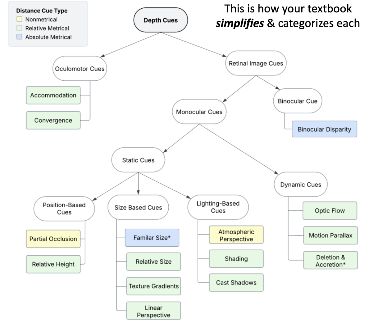 <p>Depth cue: provides info about __ relationships. </p><p>2 Kinds:</p>