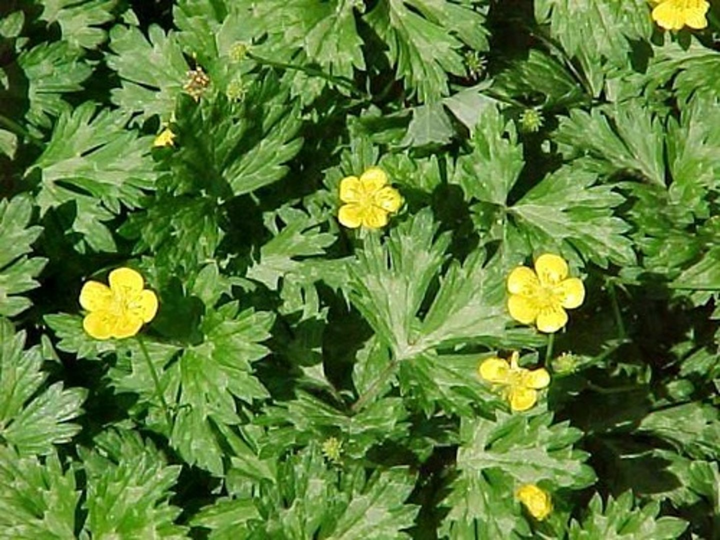 <p>Name?</p>