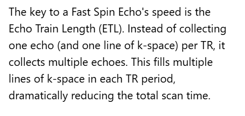 <p>A. Several echoes for each slice are collected during each TR period</p>
