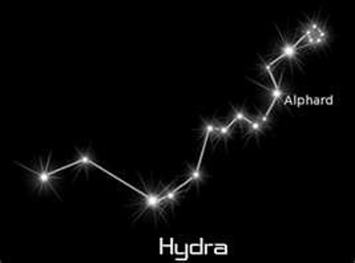 <p>sea serpent / brightest star: Alphard or Alpha Hydrae (α Hya)</p>