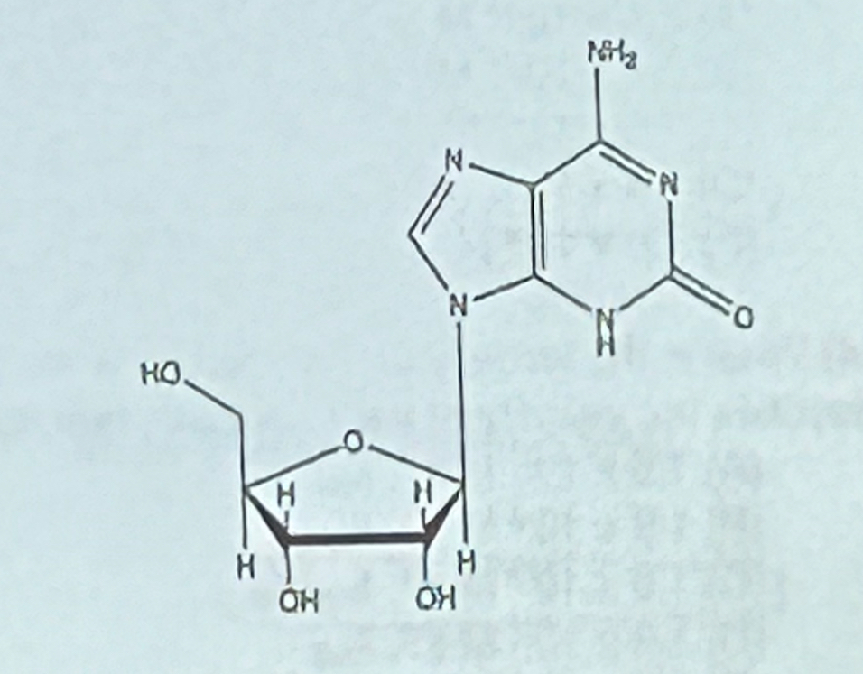 <p>What structure is shown at the right?</p><p>a. adenine</p><p>b. guanine</p><p>c. adenosine</p><p>d. guanosine</p><p>e. none of the above</p>