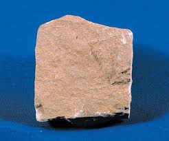 <p>Siltstone</p>