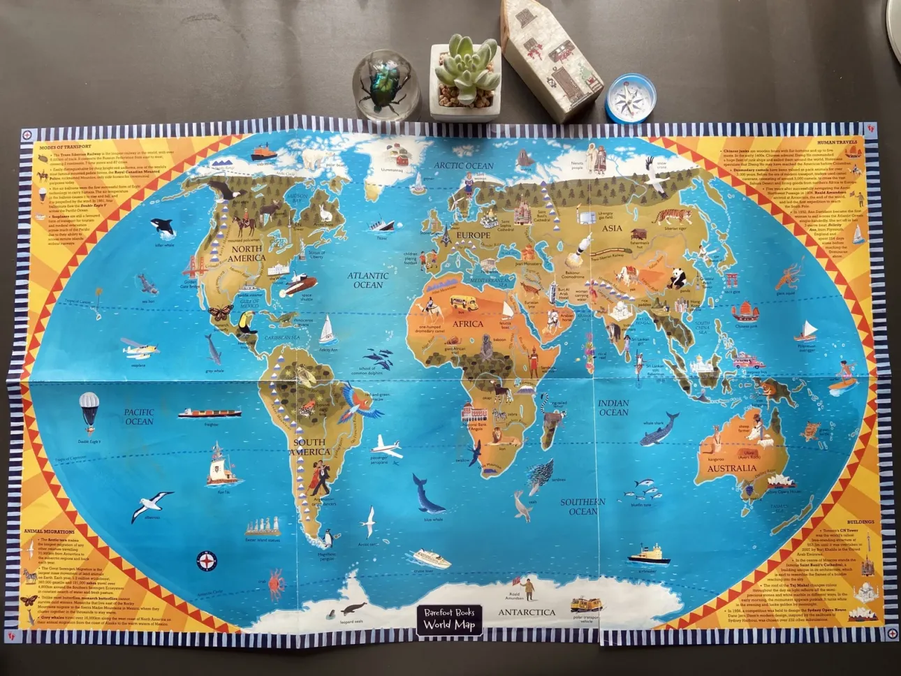 <p>Geography</p>