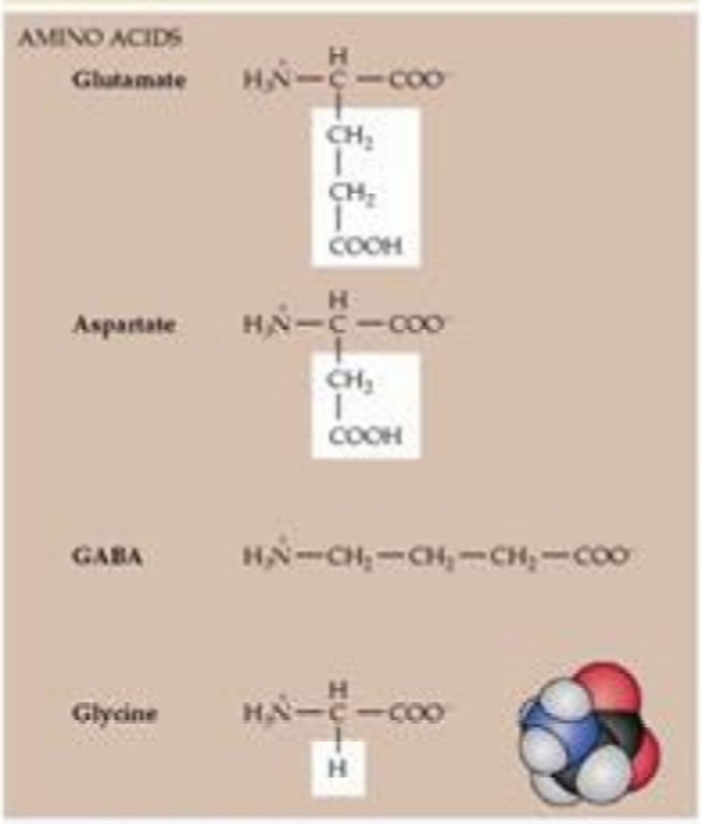 <p>Organic compounds containing amine (-NH3) and carboxyl (-COOH) functional groups, along with a side chain (R group) specific to each amino acid</p>
