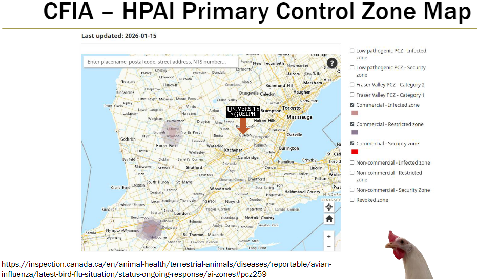 <p><strong>Acronyms</strong><br> CFIA = Canadian Food Inspection Agency<br> HPAI = Highly Pathogenic Avian Influenza<br> PCZ = Primary Control Zone</p><p><strong>Low Pathogenic</strong><br> PCZ – Infected zone: area with confirmed cases of low pathogenic avian influenza<br> PCZ – Security zone: surrounding area with heightened biosecurity to prevent spread</p><p><strong>Fraser Valley</strong><br> PCZ – Category 2: expanded control area around infected premises<br> PCZ – Category 1: immediate area around infected premises with strictest controls</p><p><strong>Commercial Premises</strong><br> Infected zone: confirmed cases in commercial flocks<br> Restricted zone: limited movement of birds/products allowed<br> Security zone: heightened biosecurity and surveillance</p><p><strong>Non-Commercial Premises</strong><br> Infected zone: confirmed cases in non-commercial flocks or birds<br> Restricted zone: limited movement, preventive measures in place<br> Security zone: monitoring and biosecurity measures enforced</p><p><strong>Other</strong><br> Revoked zone: previous control zones no longer active</p>