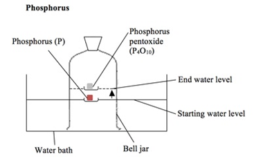 <p>the phosphorus is lit with a hot wire, reacting with the oxygen in the air and causing the water level in the bell jar to rise by about 20%</p><p>phosphorus + oxygen → phosphorus oxide</p><p>       4P         +   5O<sub>2</sub>   →          1P<sub>4</sub>O<sub>10</sub></p>