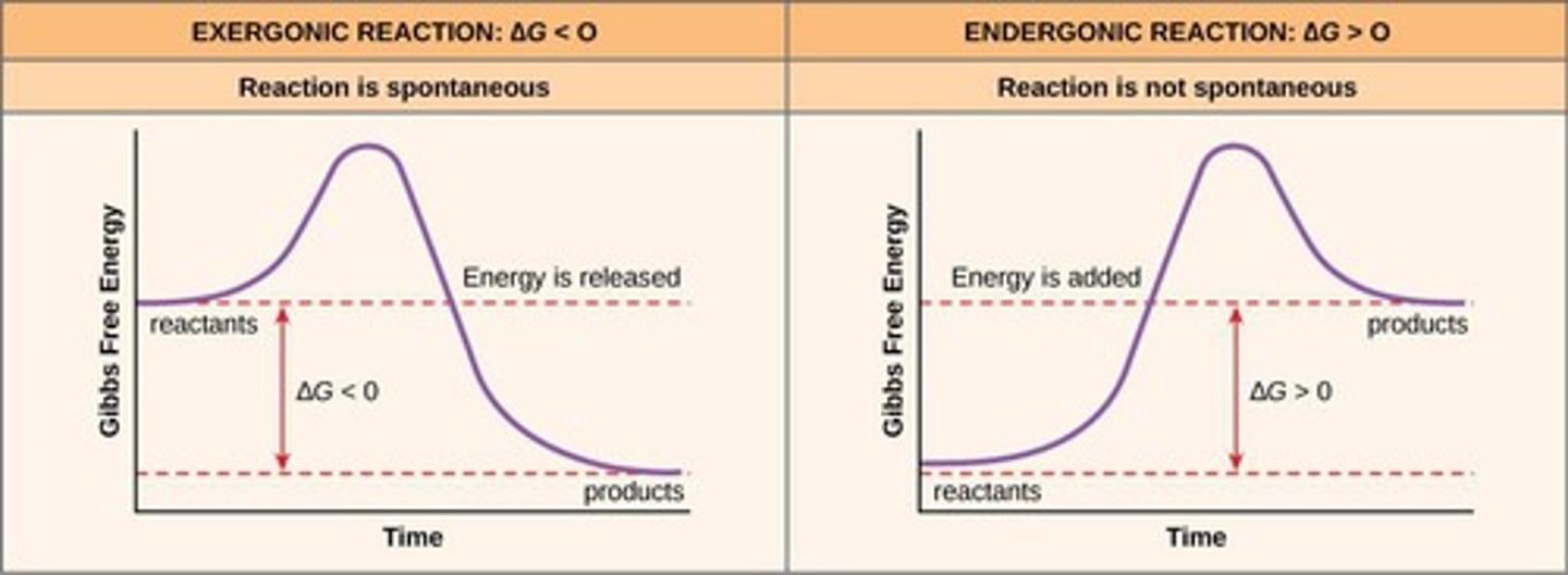 <p>Reactions that require energy input (+).</p>