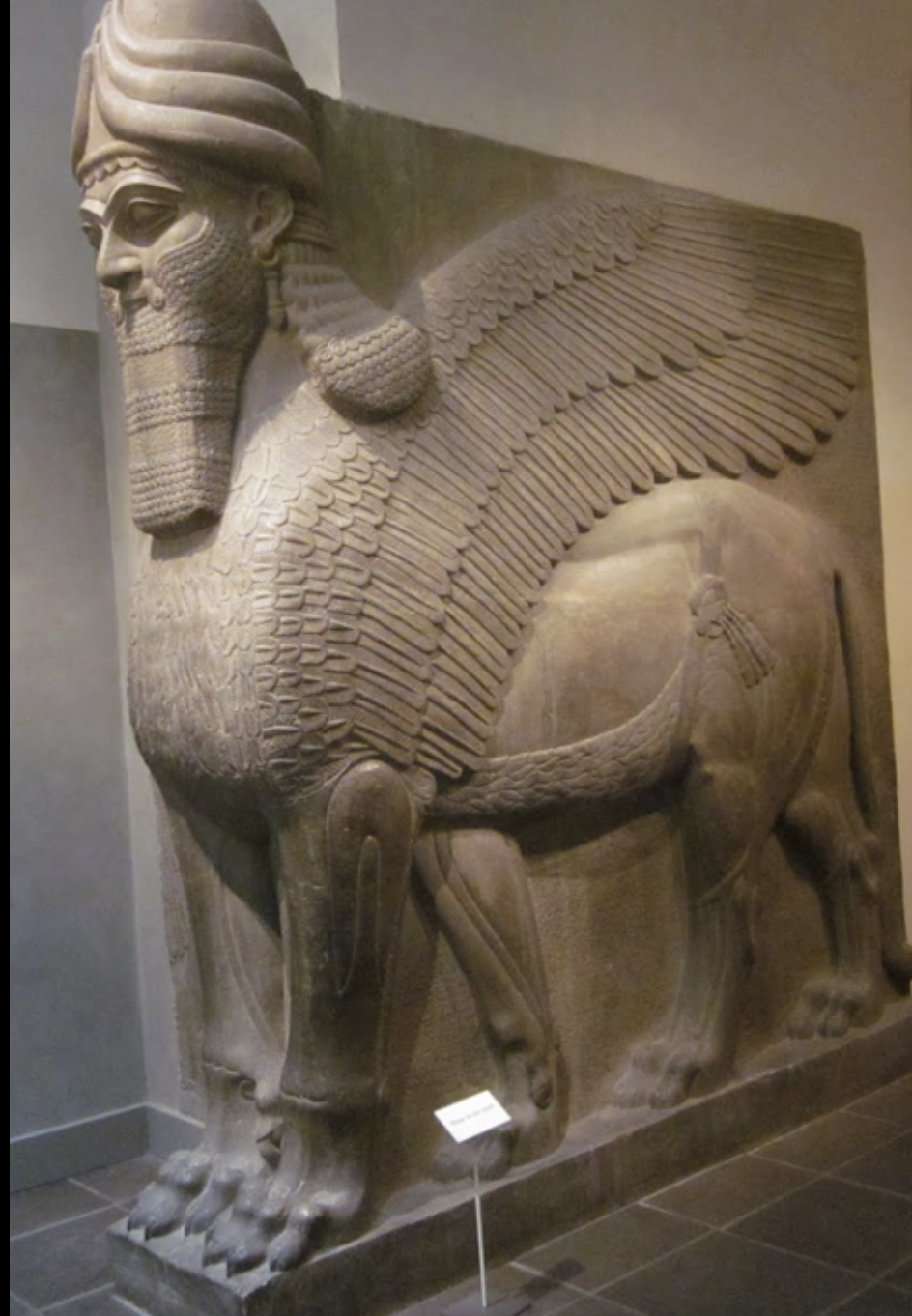 <p>lamassu</p>