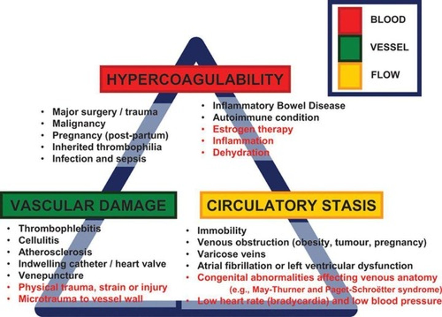 <p>Blood (Red), Vessel (Green), Flow (Yellow).</p>