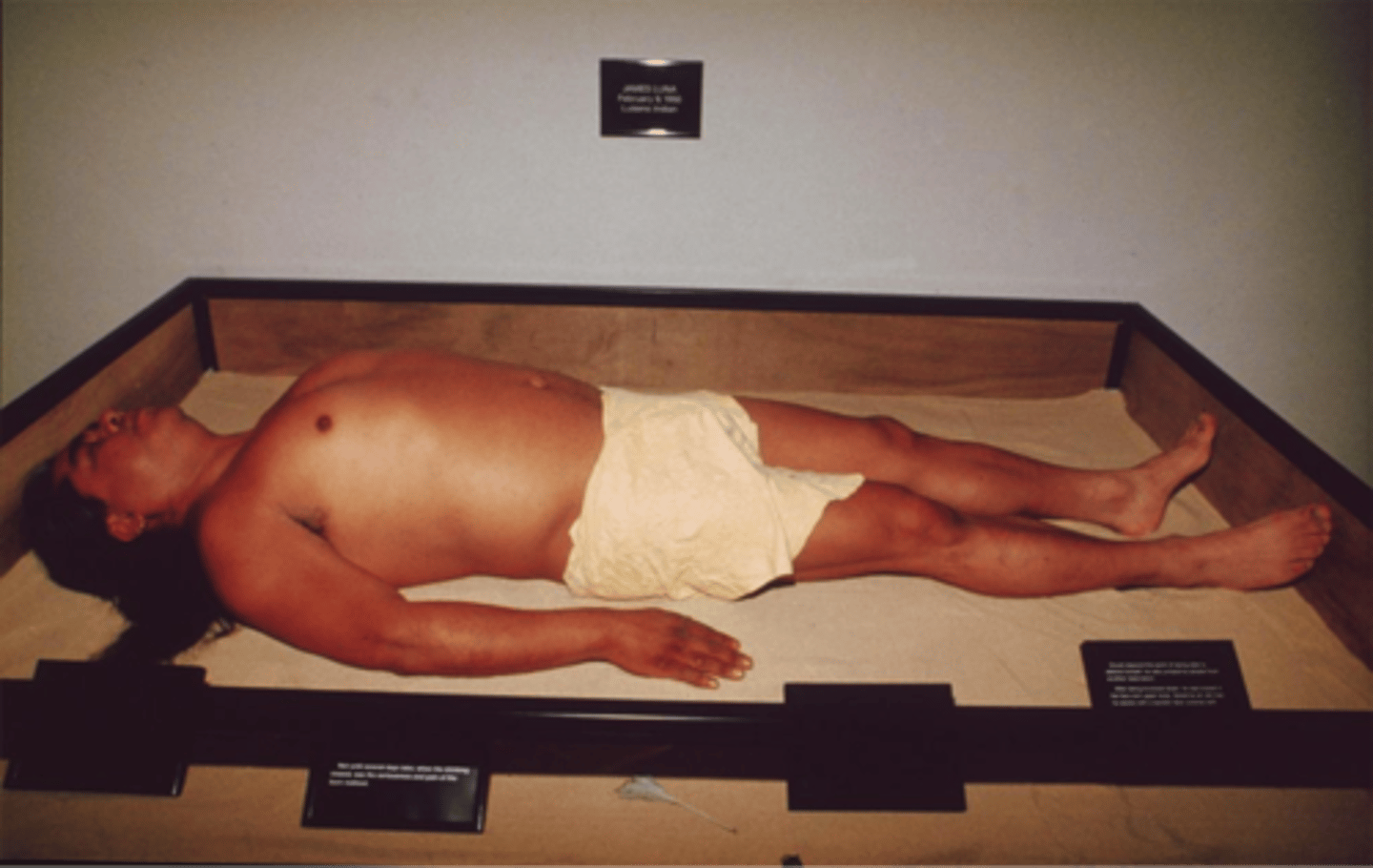 <p>The idea that certain social factors, such as race, are socially constructed and then acted out using words and behaviours that have come to be associated with what it means to be, say, Indian or white - identity as constructed persona, presented in relation within a group through outward appearance and behavior. (Luna, The Artifact Piece, 1987. Dimensions variable, mixed media installation and performance.) EX: Luna explores his performance of his identity as a Native American, drastically shattering the expectations of his people to be understood as revered relics and not living representatives of the past and modern society. </p>