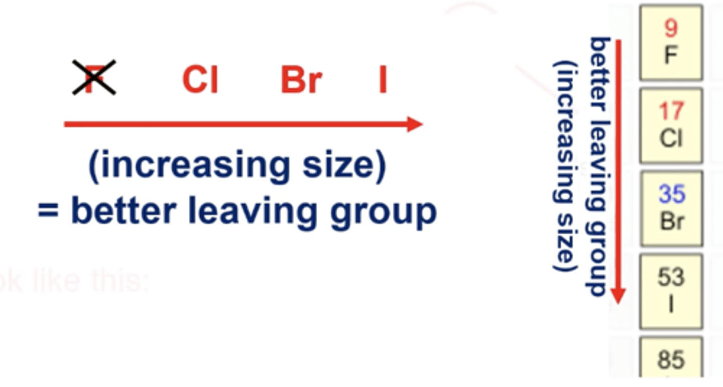 <p>halogens are common leaving groups</p><p>-the larger the leaving group, the better. This is because of a longer C-halogen bond (we don't even really consider F a leaving group because it's so small)</p>