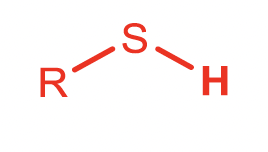 <p>Thiol</p>