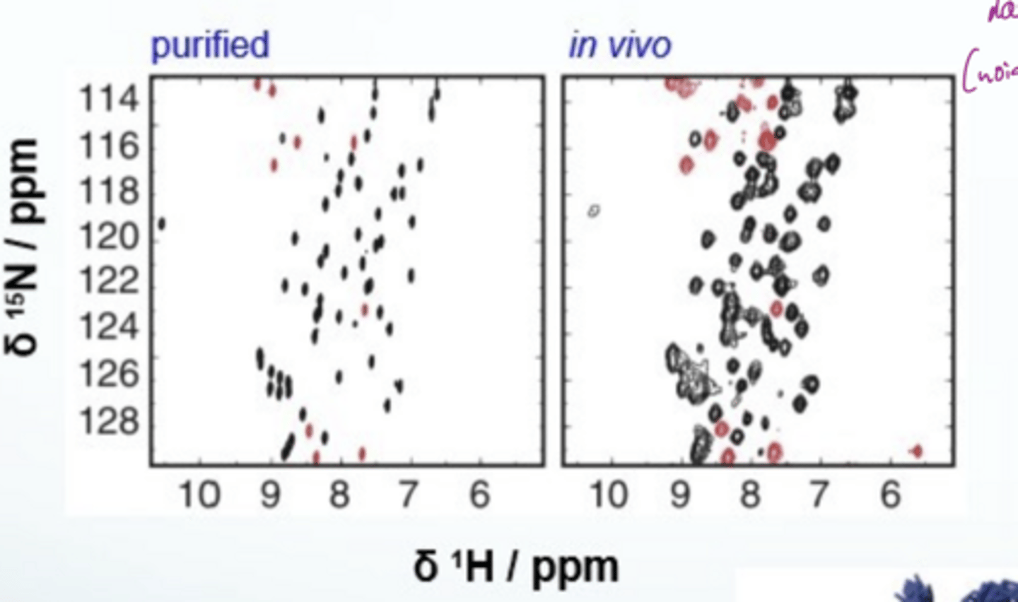 <p>in vivo spectra are hard to interpret since there is lots of noise</p>