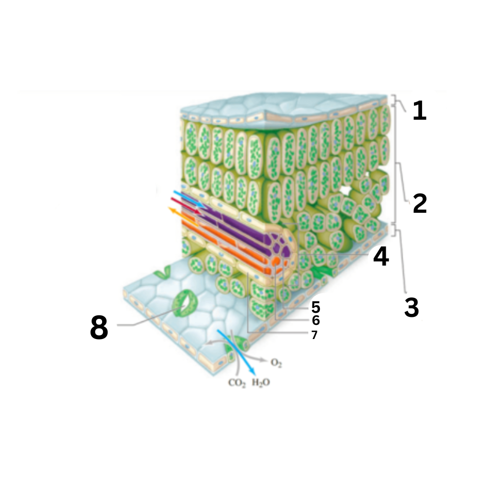 <p>What part is no. 8?</p>