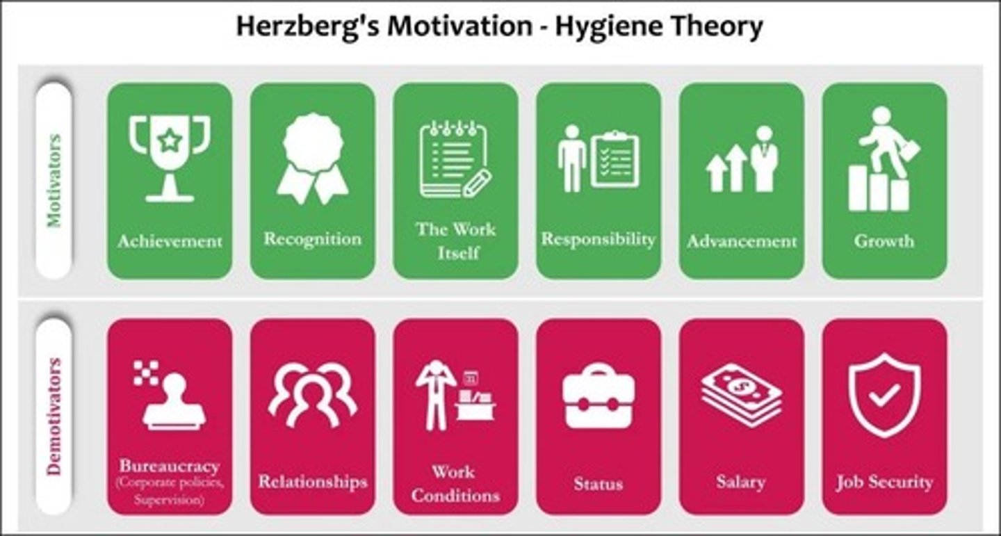 <p>Hygiene factors (avoid unpleasantness) and motivation factors (self-growth and actualization).</p>