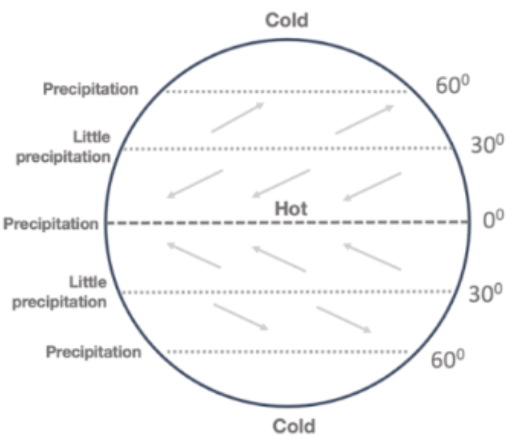<p>Cold at poles; precipitation at 60N, 0, and 60S; little precipitation at 30N and 30S; Northeast winds, southwest winds, northwest winds, southeast winds.</p>