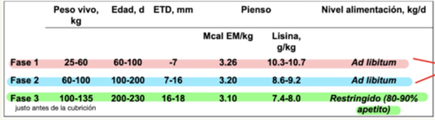 <p>3; </p><p>1. ad libitum, ↑ energia y proteina</p><p>2. ad libitum, < energía y proteína</p><p>3. restringido, de 80-90%</p>