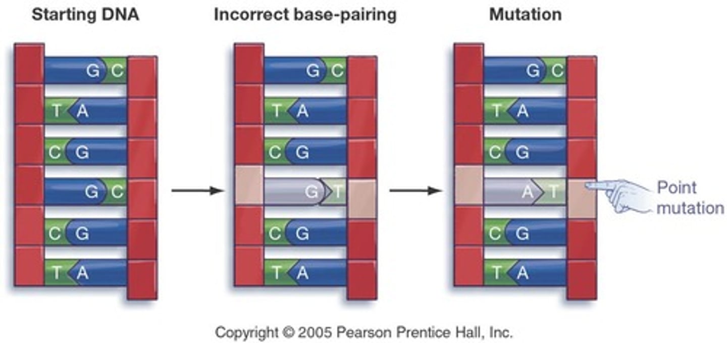 <p>Affects one or few nucleotides in DNA.</p>