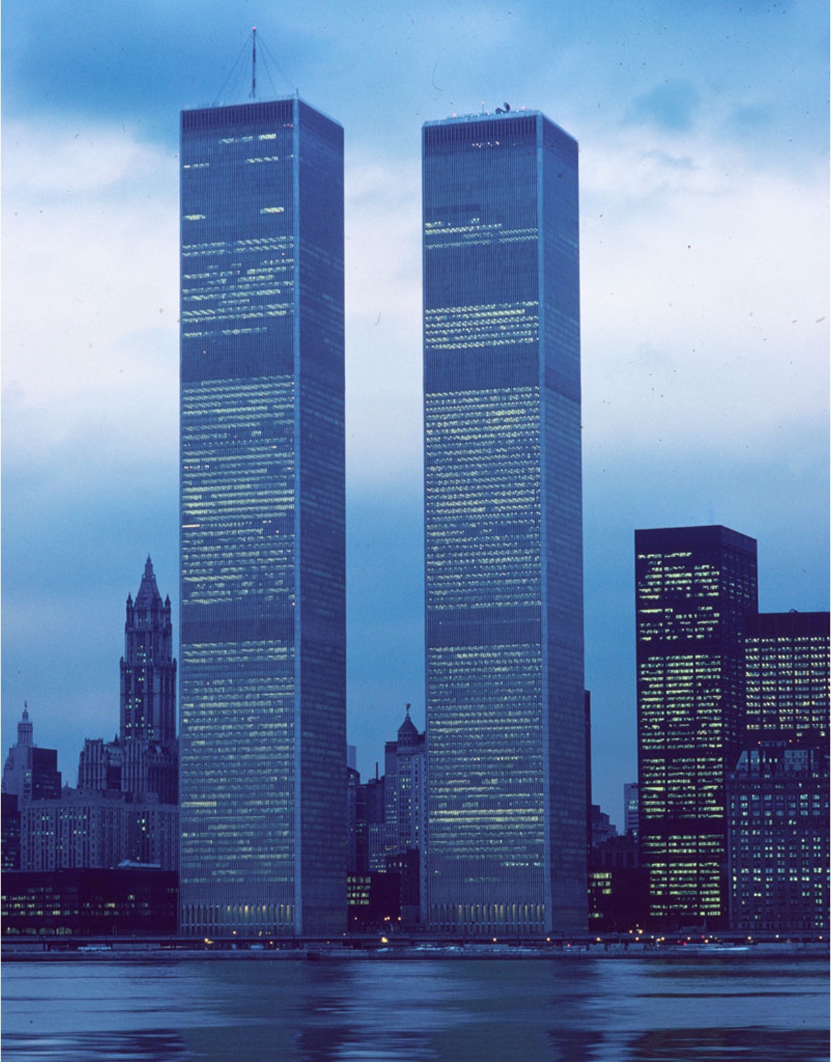 term image