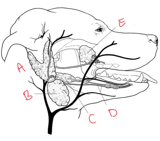 <p>what is D?</p>