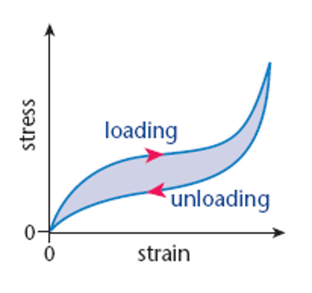 <p>rubber shows elastic behaviour</p>