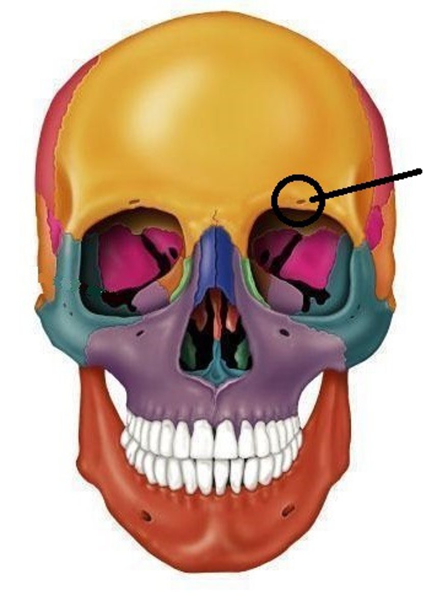 <p>What is this?</p>