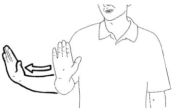 Push your open palm at the people to
whom you are referring, or to your side
in a sweeping motion if they are not nearby