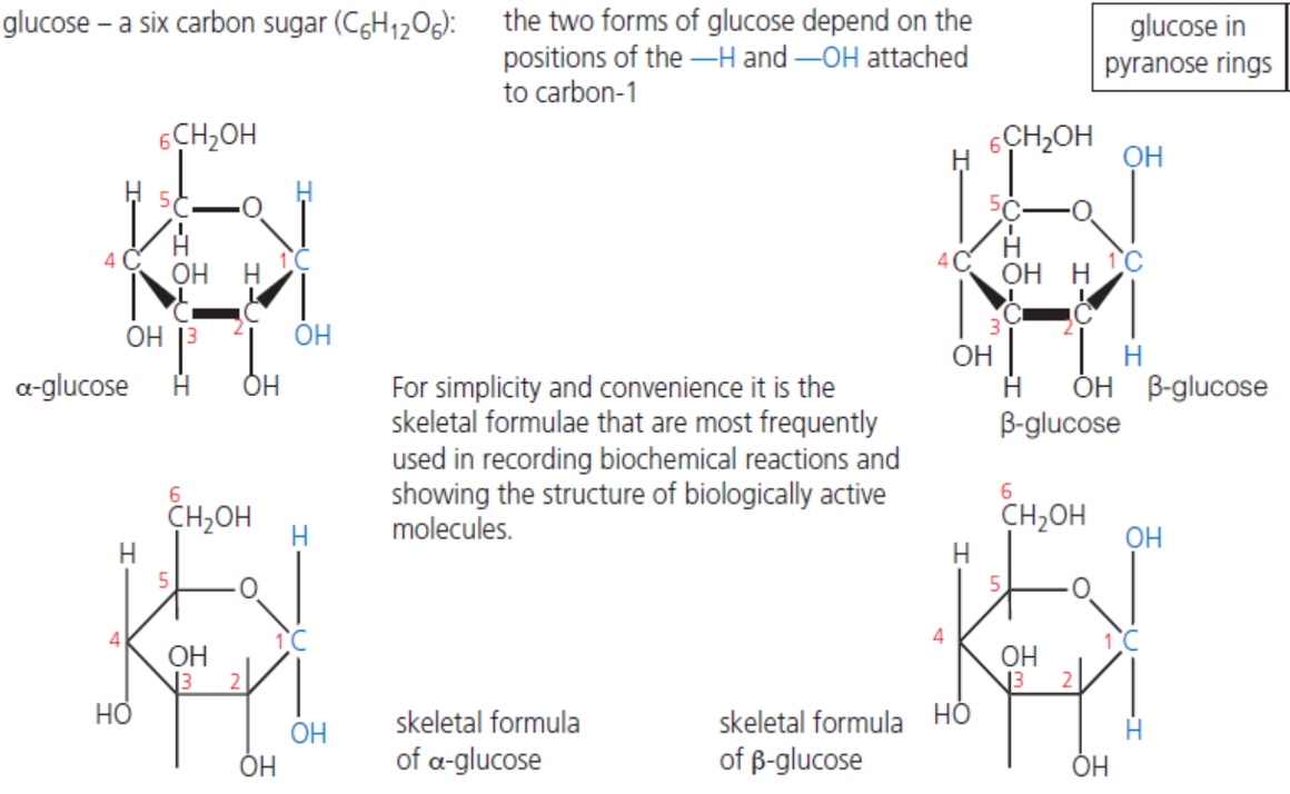 <p>It is a hexose ring comprising of 6 carbon atoms (note that 1 of the ring position is occupied by O atom), giving the chemical formula C6H12O6</p><ul><li><p>Molecular stability</p><ul><li><p>Bonds within glucose are stable covalent bonds that do not break easily</p></li></ul></li><li><p>Soluble in water</p><ul><li><p>Glucose is polar and so dissolves readily in polar solvent</p></li></ul></li><li><p>Easily transportable</p><ul><li><p>Glucose can easily circulate in blood and in fluids between cells due to its solubility</p></li></ul></li><li><p>Yields a great deal of chemical energy when covalent bonds are broken</p><ul><li><p>Thus, its high energy yield makes it a good energy store</p></li></ul></li><li><p>Sweet</p></li><li><p>Reducing sugar</p></li><li><p>Monomer of starch/ glycogen/cellulose</p></li><li><p></p></li></ul><p></p>