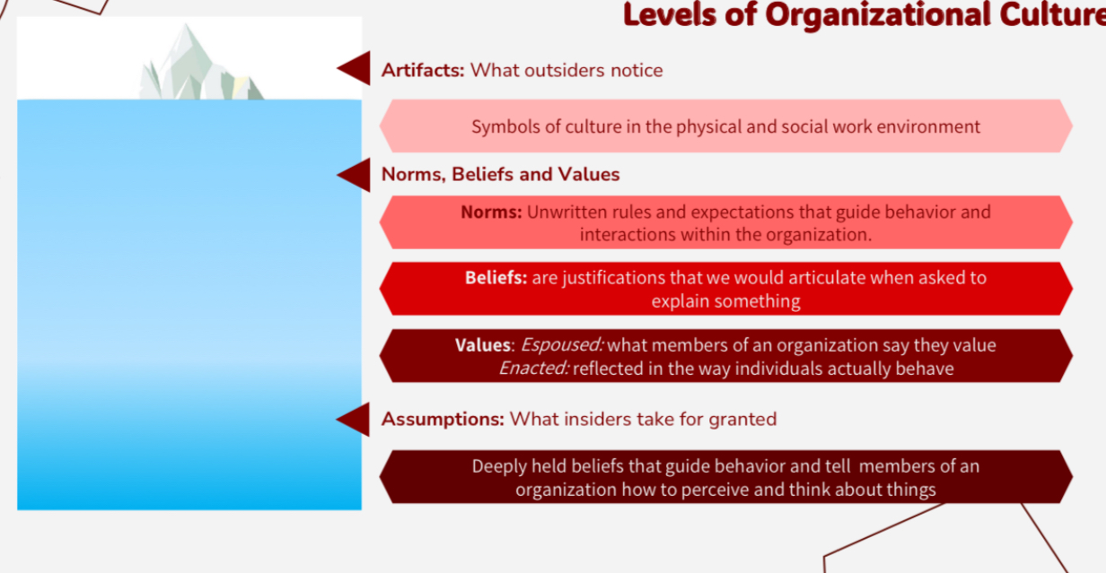 <ul><li><p>Artifacts</p></li><li><p>Norms</p></li><li><p>Beliefs</p></li><li><p>Values</p></li><li><p>Assumptions</p></li></ul><p></p>