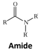 <p><span style="background-color: transparent;"><span>Replace the -OH group of a carboxylic acid with an amino group that may or may not be substituted</span></span></p>