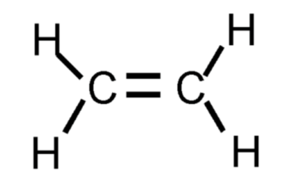 <p>Contains only single bonds and the first four include methane, ethane, are saturated hydrocarbons that contain the maximum number of hydrogen atoms that can bond with the number of carbon atoms in the molecule.</p>